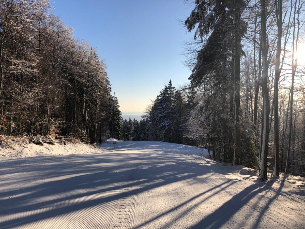 Chalet Anra Pohorje Zgornje Hoce Екстер'єр фото