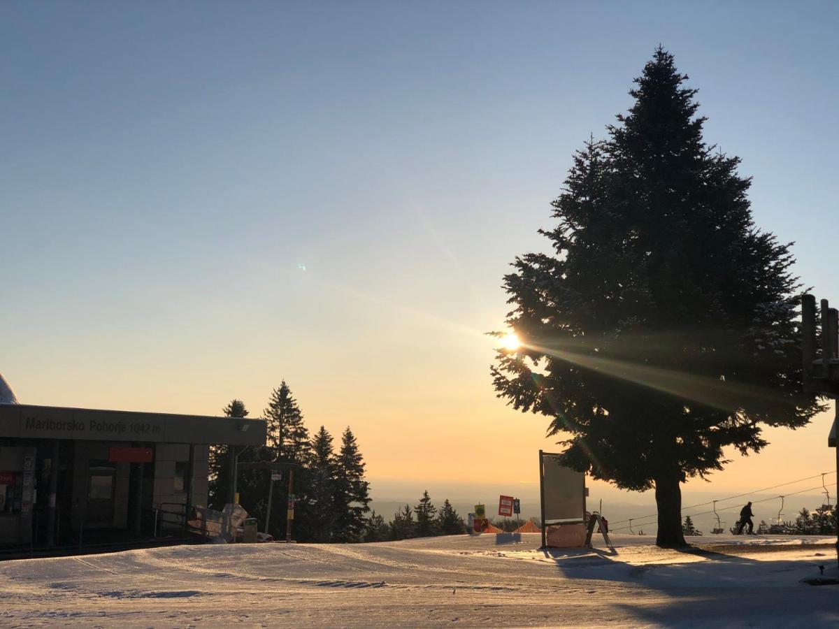 Chalet Anra Pohorje Zgornje Hoce Екстер'єр фото
