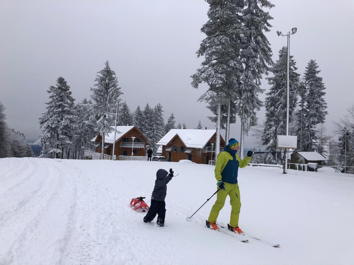 Chalet Anra Pohorje Zgornje Hoce Екстер'єр фото