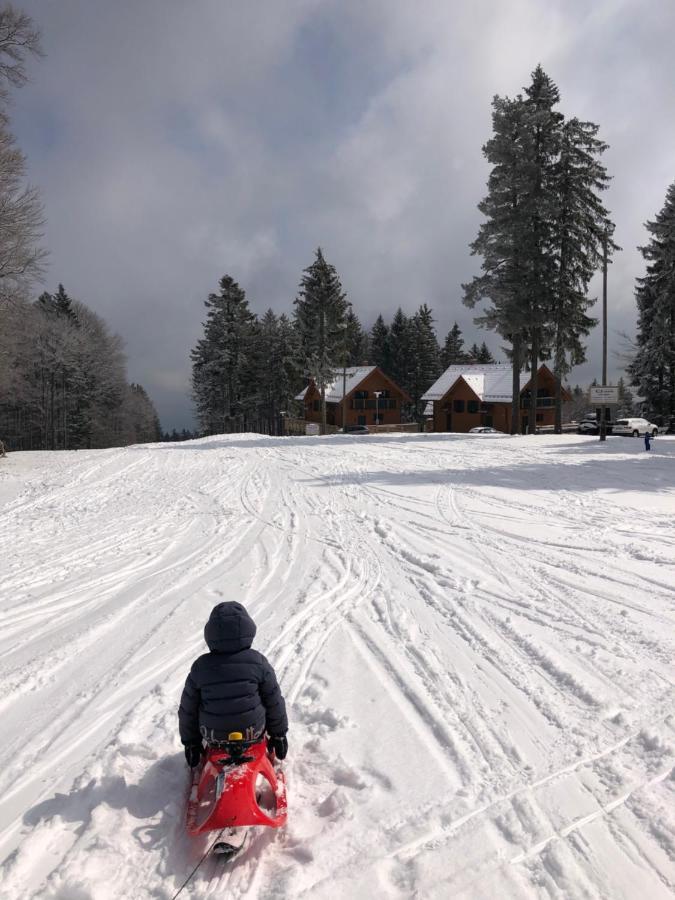 Chalet Anra Pohorje Zgornje Hoce Екстер'єр фото