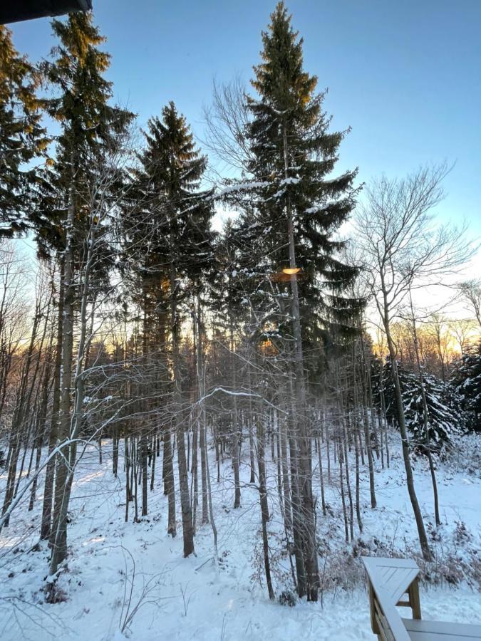 Chalet Anra Pohorje Zgornje Hoce Екстер'єр фото
