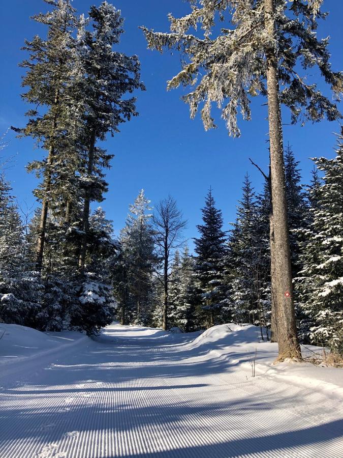 Chalet Anra Pohorje Zgornje Hoce Екстер'єр фото