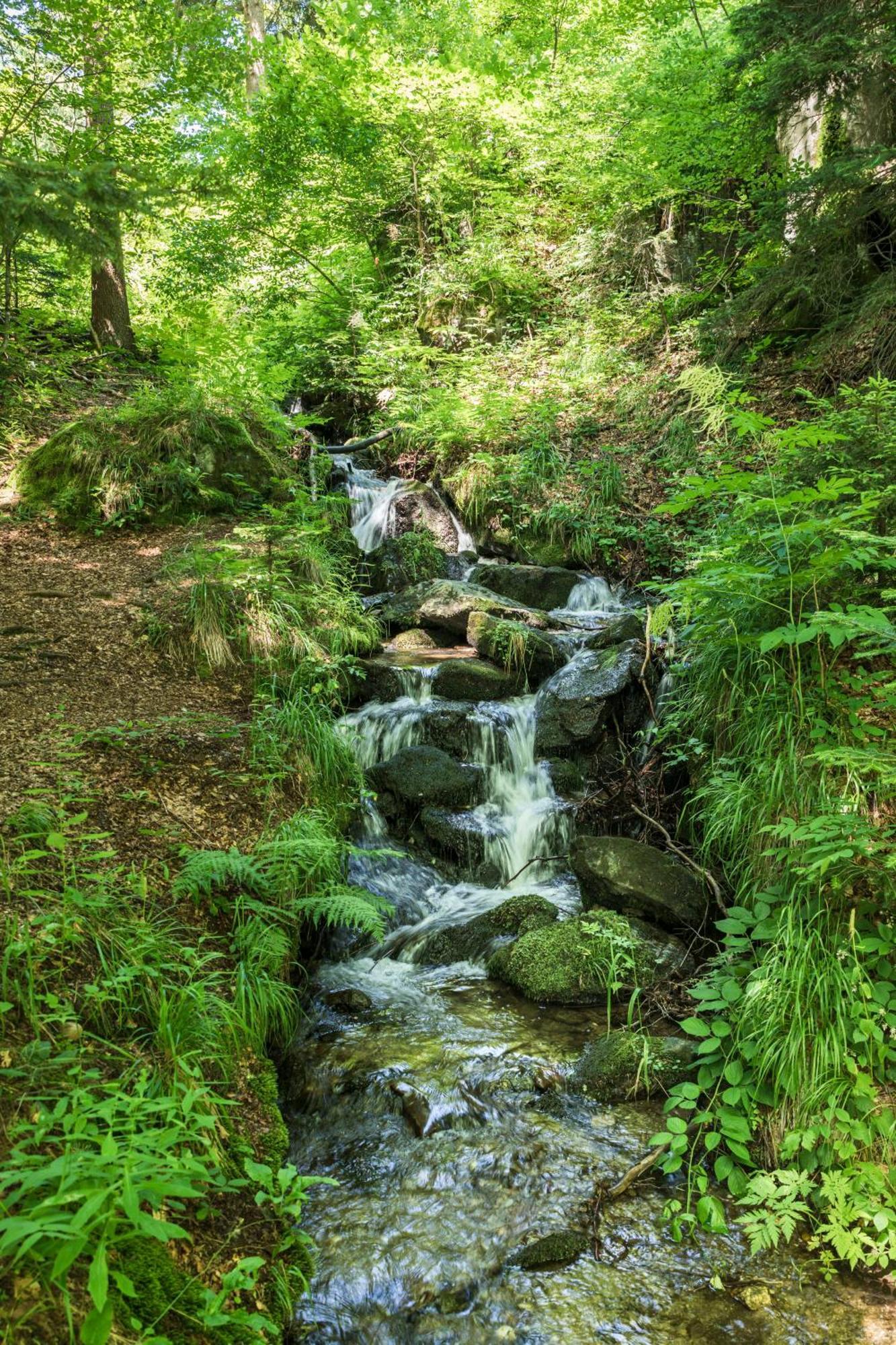 Chalet Anra Pohorje Zgornje Hoce Екстер'єр фото