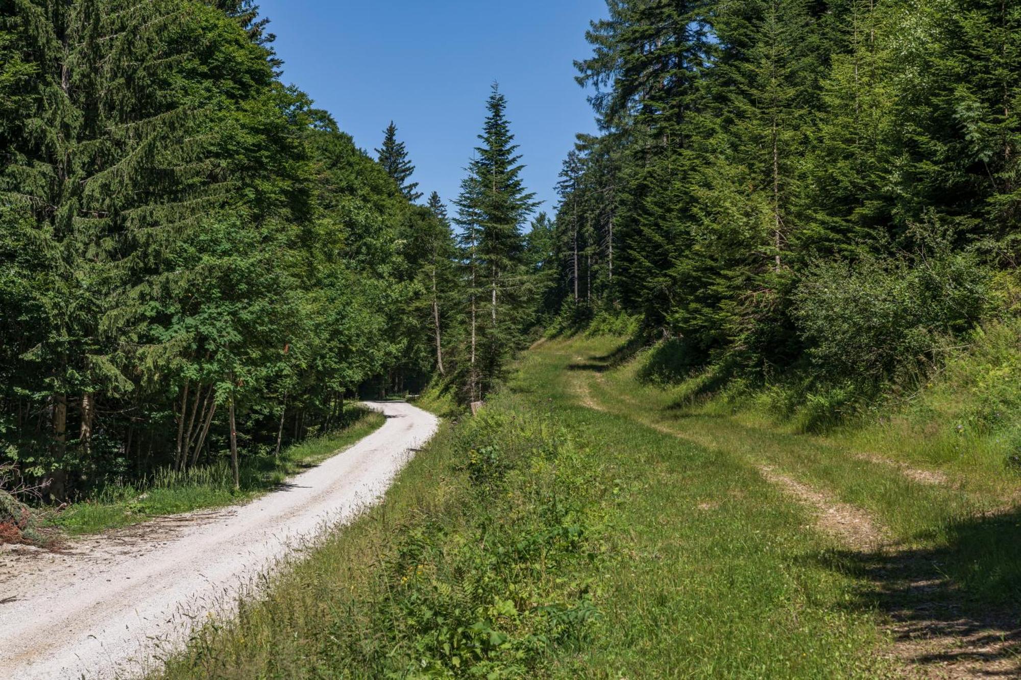 Chalet Anra Pohorje Zgornje Hoce Екстер'єр фото