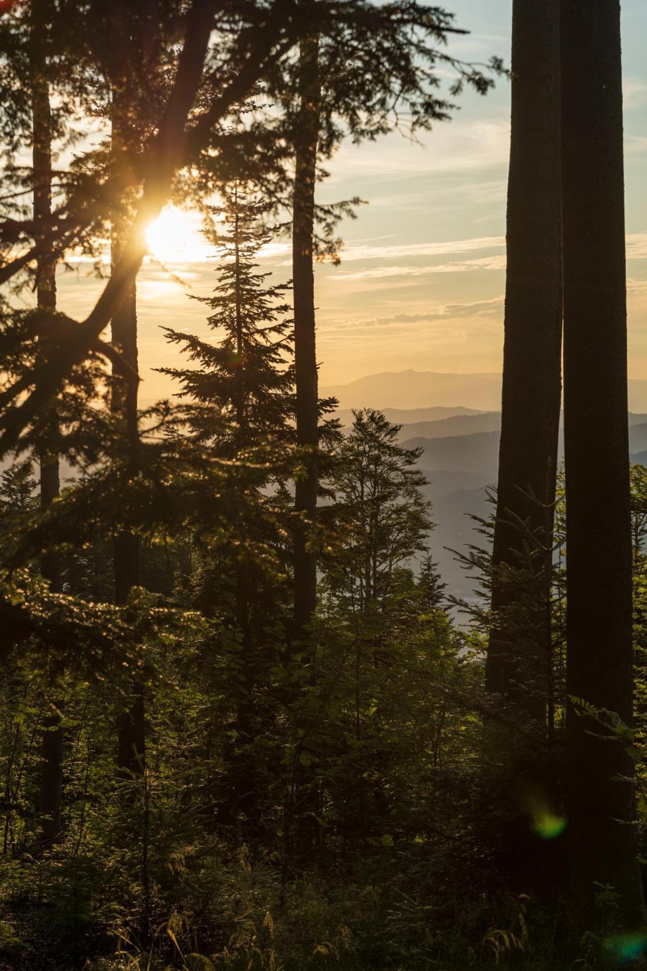 Chalet Anra Pohorje Zgornje Hoce Екстер'єр фото